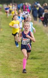 Sophia Essex XC Relays